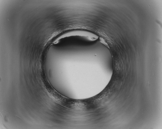 X0000096390256200802141502