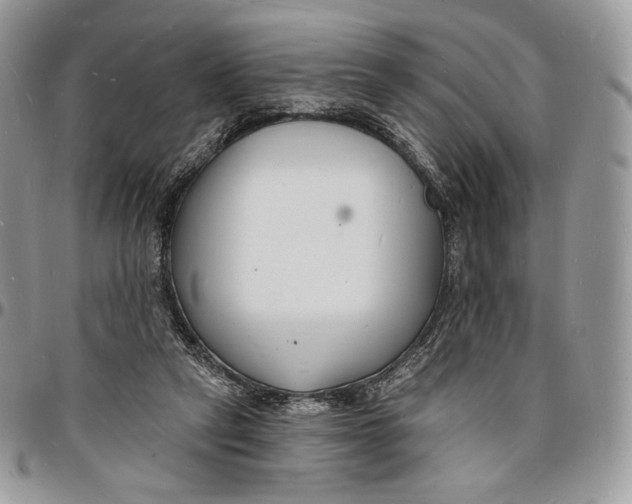 X0000096390257200802141502