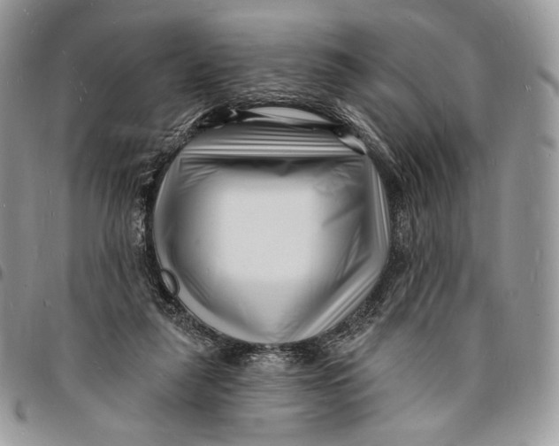 X0000096390259200802141502