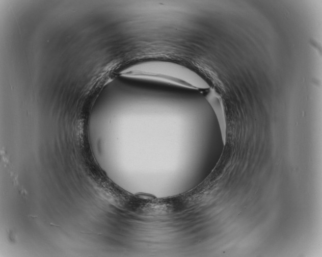 X0000096390260200802141502