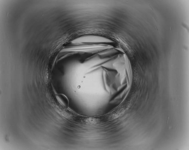 X0000096390261200802141502