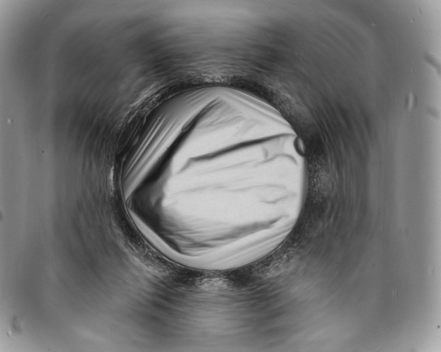 X0000096390262200802141502