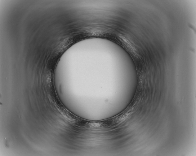 X0000096390265200802141502