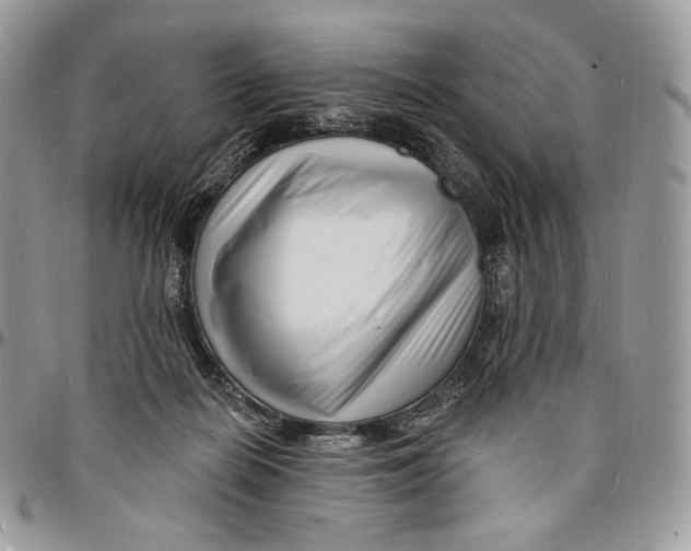 X0000096390266200802141502