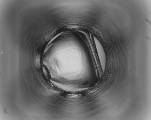 X0000096390267200802141502