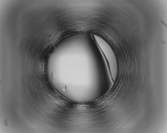 X0000096390268200802141502