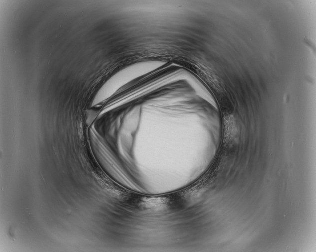 X0000096390269200802141502