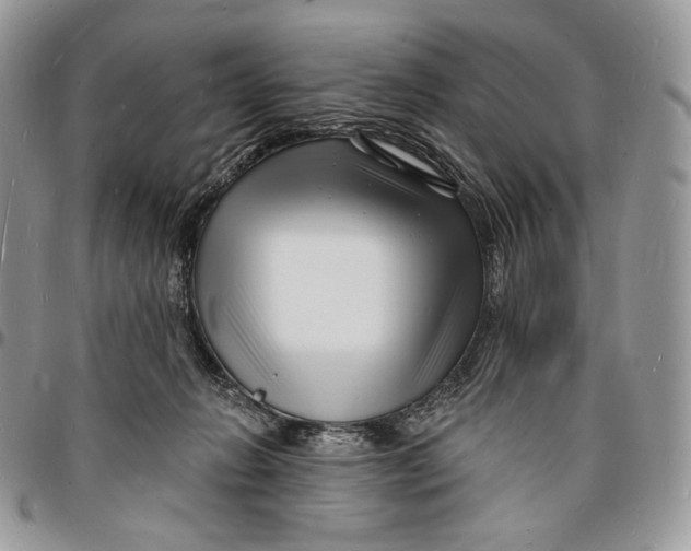 X0000096390270200802141502