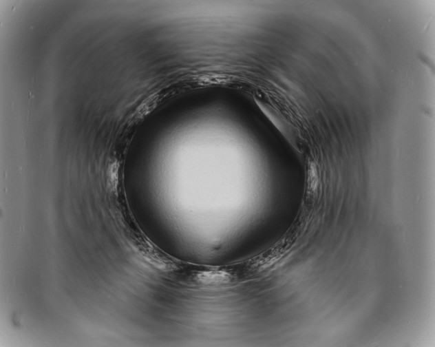 X0000096390271200802141502