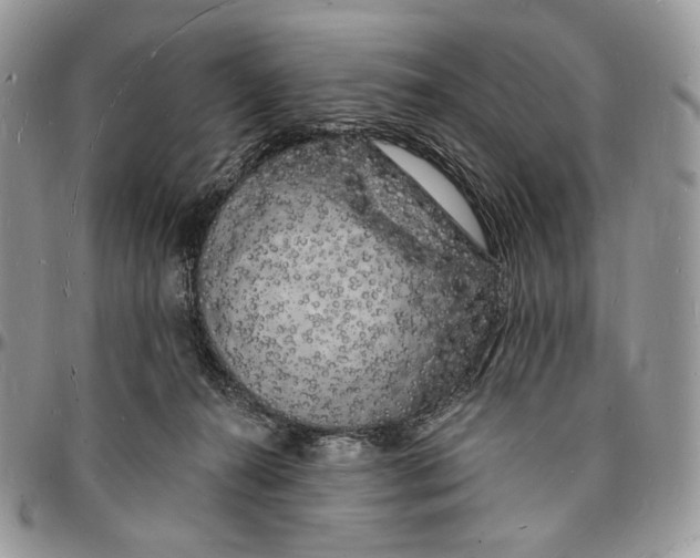X0000096390272200802141502