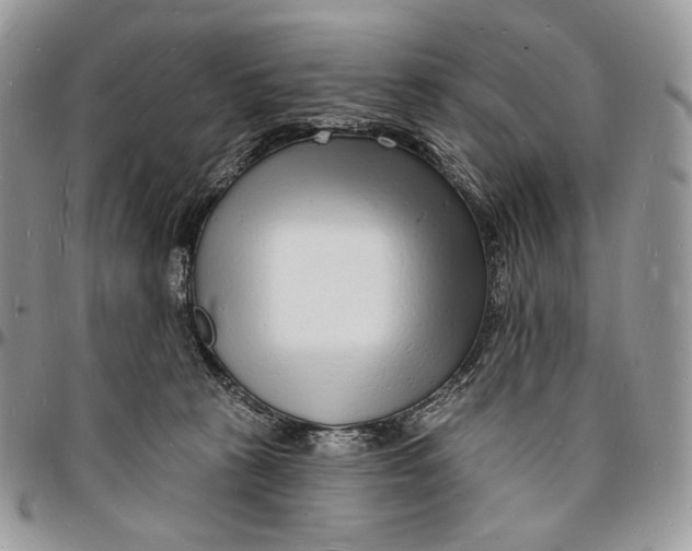 X0000096390273200802141502