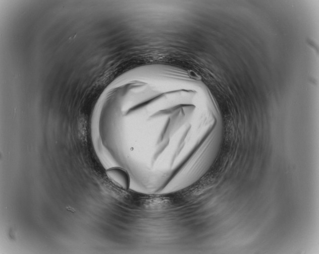 X0000096390274200802141502
