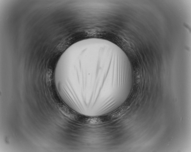 X0000096390275200802141502