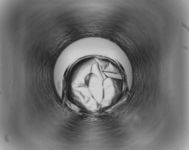 X0000096390276200802141502