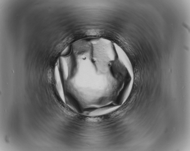 X0000096390277200802141502