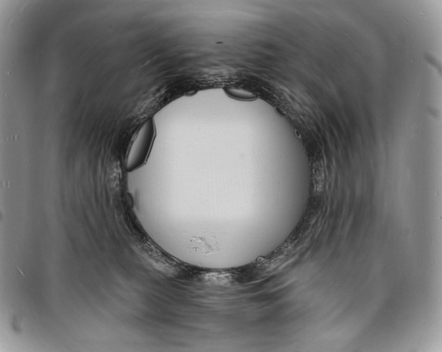 X0000096390279200802141502