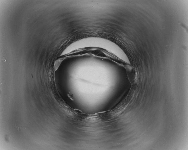 X0000096390280200802141502