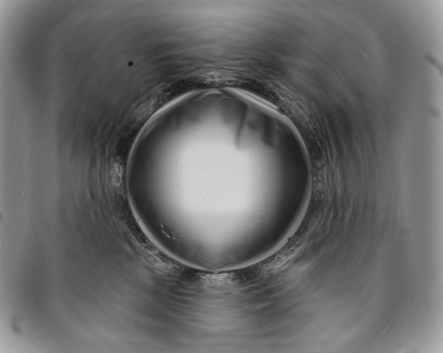 X0000096390281200802141502
