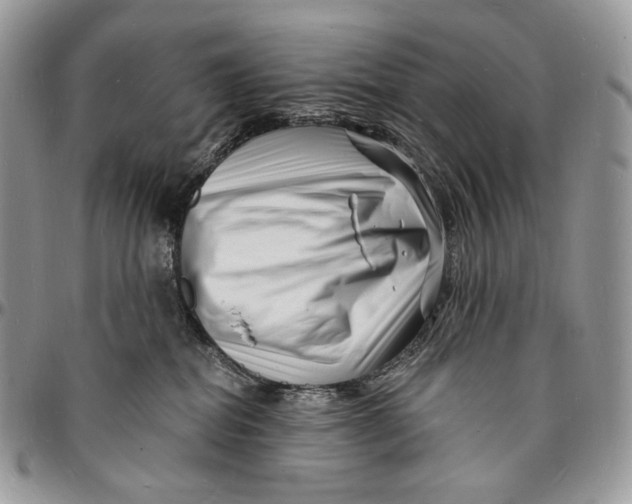 X0000096390282200802141502