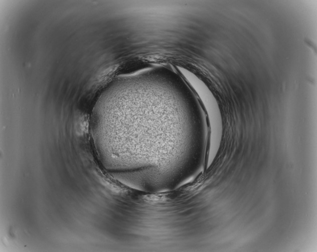 X0000096390284200802141502