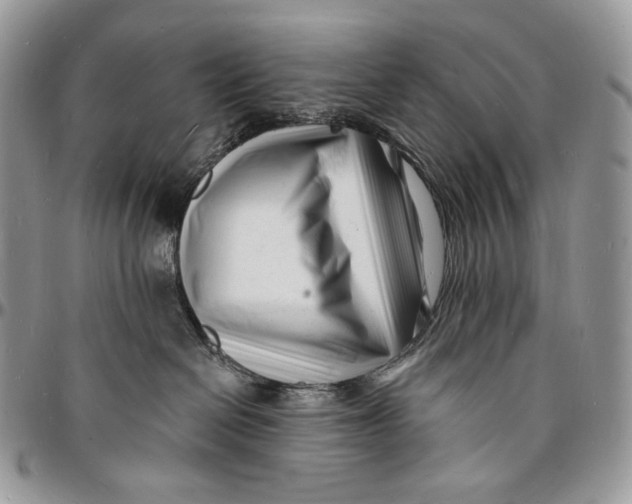 X0000096390286200802141502