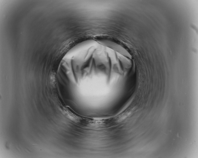 X0000096390288200802141502