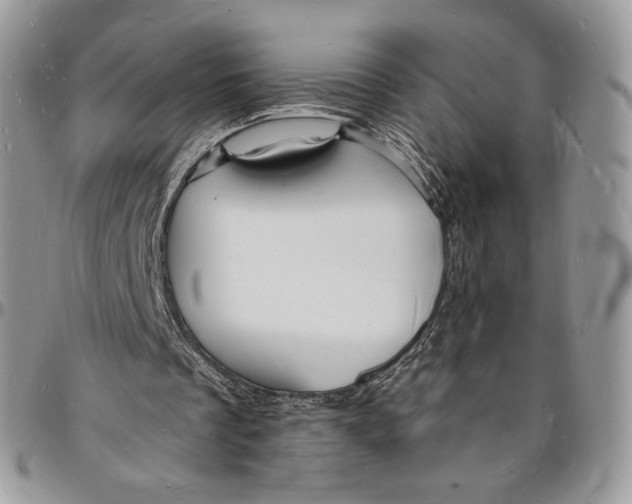 X0000096390289200802141502