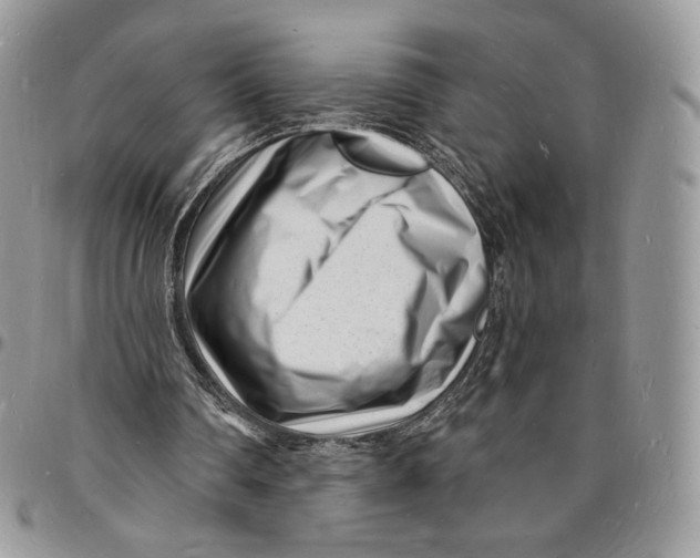 X0000096390290200802141502