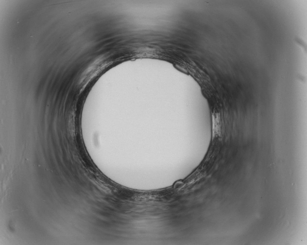 X0000096390291200802141502