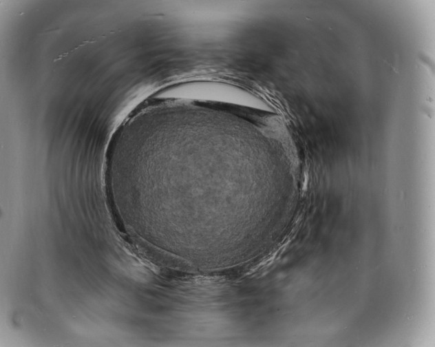 X0000096390292200802141502