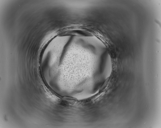 X0000096390293200802141502