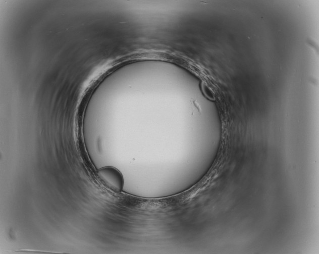 X0000096390294200802141502