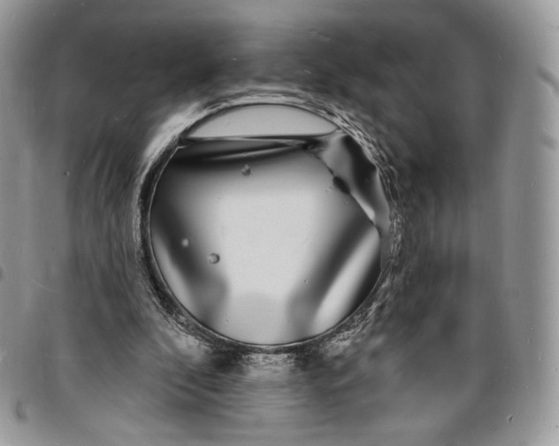 X0000096390296200802141502