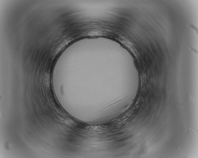 X0000096390297200802141502