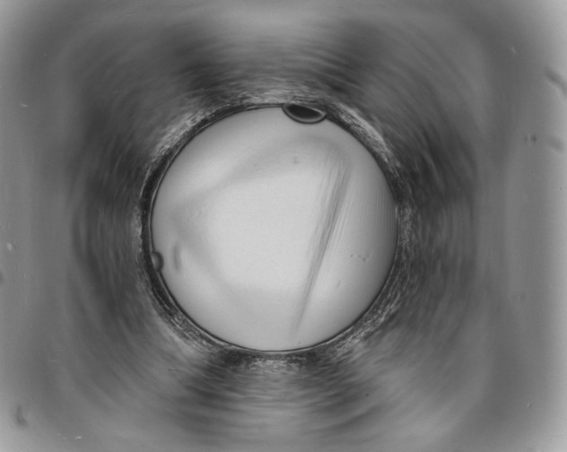 X0000096390298200802141502