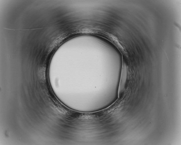 X0000096390299200802141501