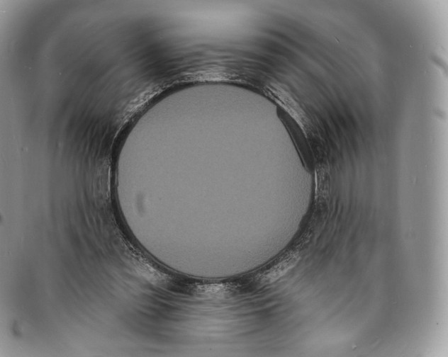 X0000096390301200802141501