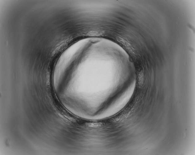 X0000096390303200802141501