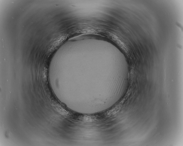 X0000096390305200802141501