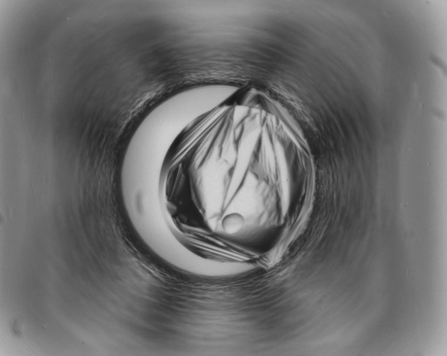 X0000096390308200802141501