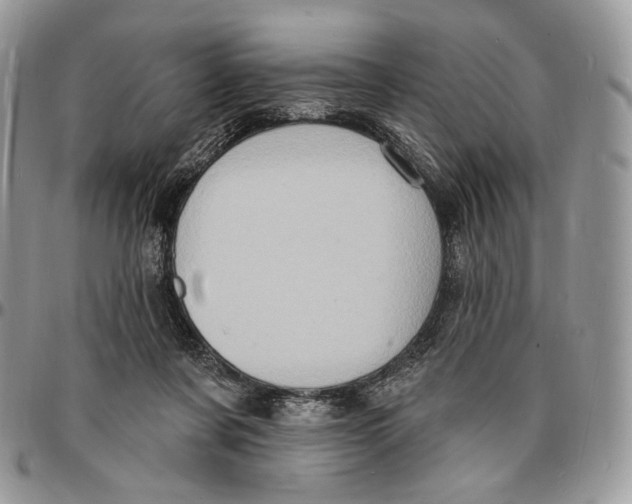 X0000096390311200802141501