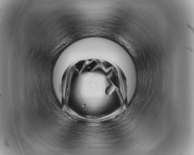 X0000096390313200802141501