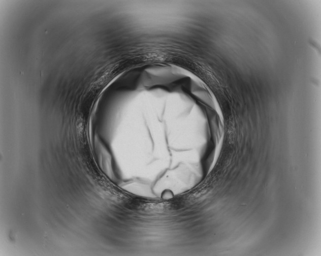 X0000096390314200802141501