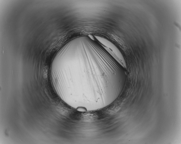 X0000096390315200802141501