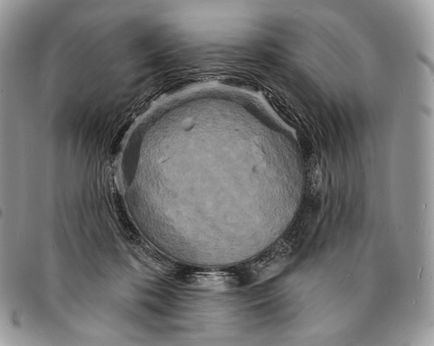 X0000096390316200802141501