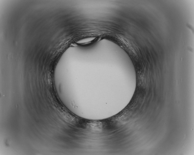 X0000096390317200802141501