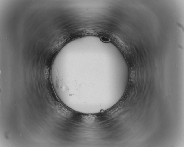 X0000096390318200802141501