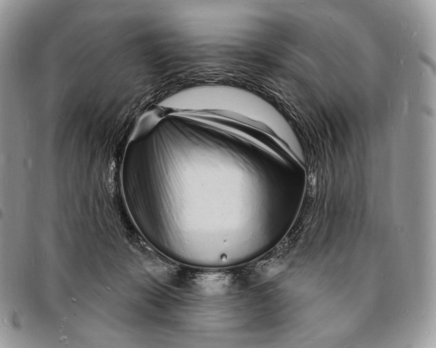 X0000096390319200802141501