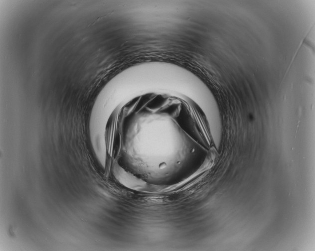 X0000096390320200802141501