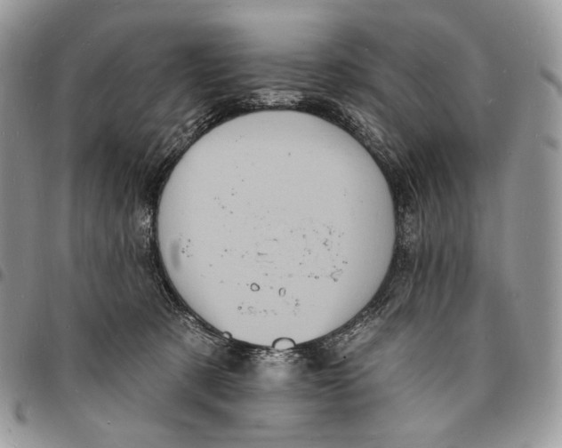 X0000096390321200802141501